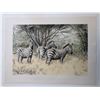 Image 1 : A Dazzle of Zebras Print