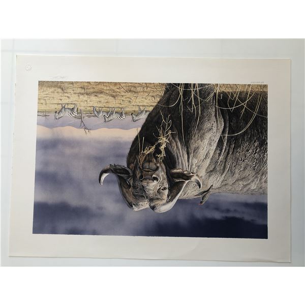 African Buffalo Print