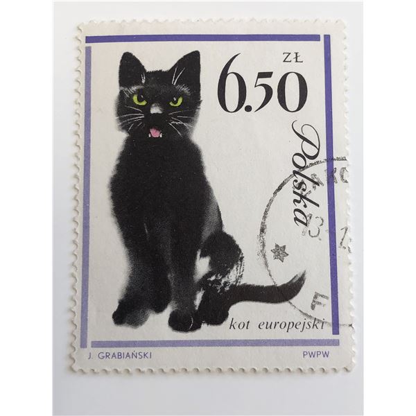 1964 Black Cat Stamp - Poland
