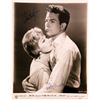 Image 1 : Warren Beatty and Vivien Leigh signed portrait photo