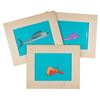 Image 1 : A Collection of The Incredible Mr. Limpet Production Cels.