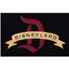 Image 3 : A Disneyland Varsity Jacket and Hat.