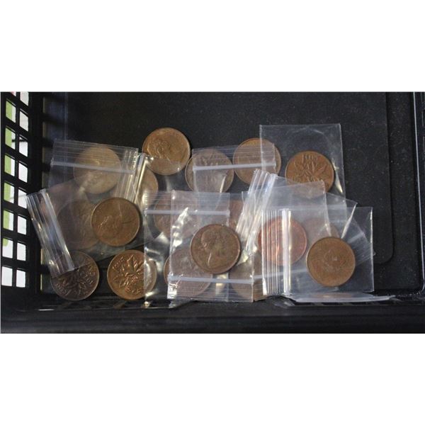 BUNDLE OF CANADIAN 1 CENT COINS OVER 50 YEARS OLD
