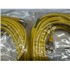 Image 3 : (2) Turck #RKM 50-15M / ID #U2060-0 Cables
