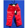 Image 1 : DC Banshee Youth Ski Pant - Size Small