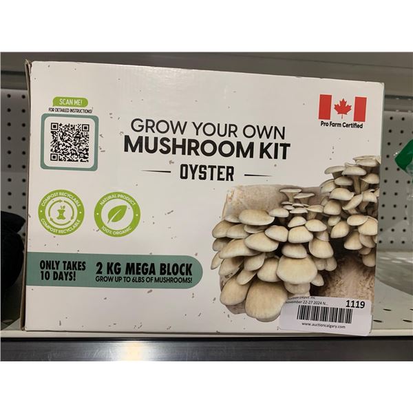 2kg Mega Block, Grow Your Own Mushroom Kit, Oyster Mushrooms