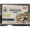 Image 1 : 2kg Mega Block, Grow Your Own Mushroom Kit, Oyster Mushrooms