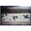 Image 4 : Canada, Specimen Set 2004P "Loon Canada Goose" Only the Display 7 coins, NO BOX
