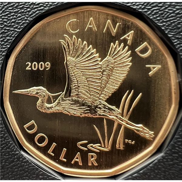 Canada, Specimen Set 2009 Great Blue Heron in Original Box and C.O.A.