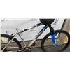 Image 3 : TRIBAL BIKE