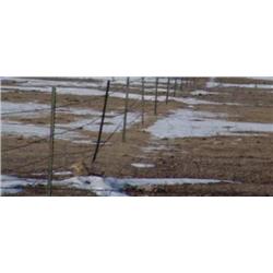 Parcel #1A: Pasture w/Flood Irrigated 724 Ac