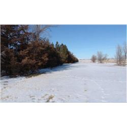 Parcel #1B:  Irrigated Native Hay Meadow 237 Ac