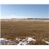 Image 1 : Parcel #3: Flood Irr w/Pasture & Homesite 140 Ac