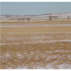 Combination 1A & 1B Pasture & Irrig 961 Ac