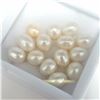 Image 2 : FRESH WATER PEARL HALF DRILL 10G