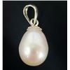 Image 1 : SILVER FRESH WATER PEARL PENDANT