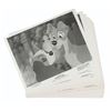 Image 2 : A Collection of Disney Animation Publicity Photos.