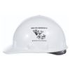 Image 4 : A Buena Vista Construction Co. Hard Hat.