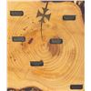 Image 3 : A Pirates of the Caribbean Heritage Timeline Tree Cross Section.