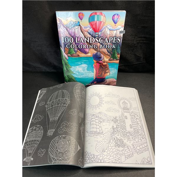 2 Special Art's Adult Coloring Books - Jumbo 100 Landscapes Coloring Books for Adults - Brand New