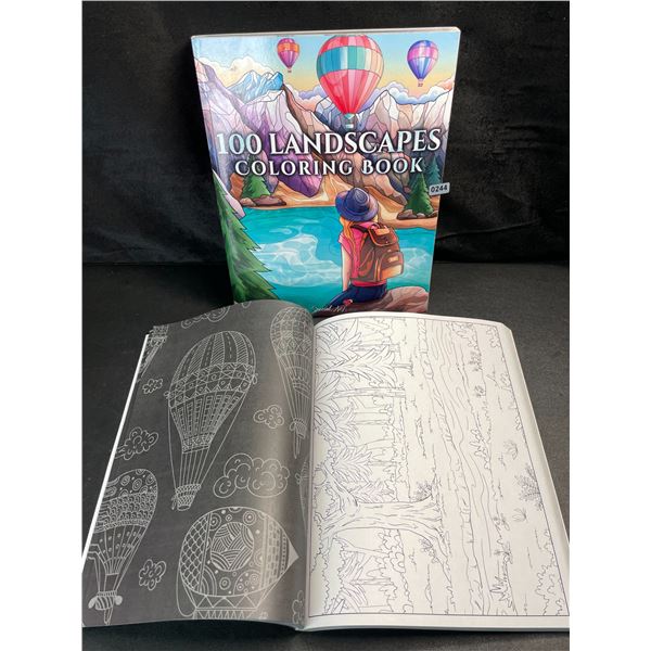 2 Special Art's Adult Coloring Books - Jumbo 100 Landscapes Coloring Books for Adults - Brand New