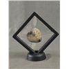 Image 1 : Agate Formation Heart In Display. Retails $200.00