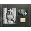 Image 1 : Picasso Autographed Display