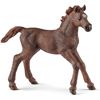 Image 1 : NEW SCHLEICH ENGLISH THOROUGHBRED FOAL