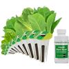 Image 1 : NEW 9 POD KIT AERO GARDEN MIXED ROMAINE