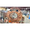 Image 2 : MUELLER MAWP 30 COPPER JACKETED STAINLESS STEEL 132 GAL FRONT ACCESS PORT DUAL VIEW PORT