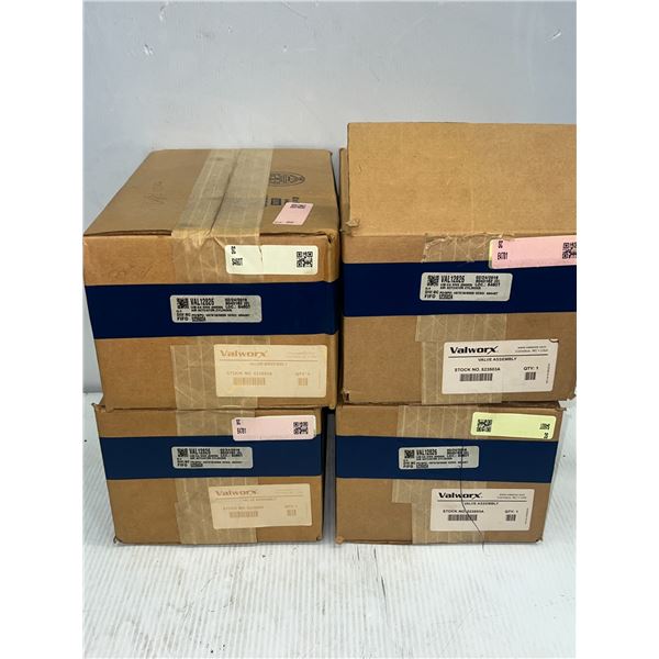 (4) Valworx #530050AP050 / #523503A Valve Assembly