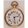 Image 1 : Hamilton Watch Co. vintage pocket watch