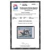 Image 2 : Federal Duck Stamps, 1973-96, an accumulation
