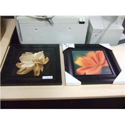 4 Framed Flower Prints