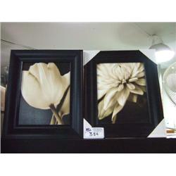 2 Framed Flower Prints