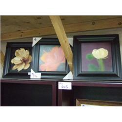 3 Framed Flower Prints