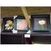 Image 1 : 3 Framed Flower Prints