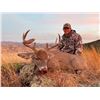 Image 3 : Coues Deer Hunt for 5 Days in Sonora, Mexico