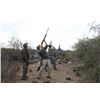Image 1 : 4 Day Argentina High Volume Dove Hunt for up to 20 Hunters!