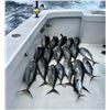 Image 9 : Costa Rica Sportfishing Trip for 4 Anglers