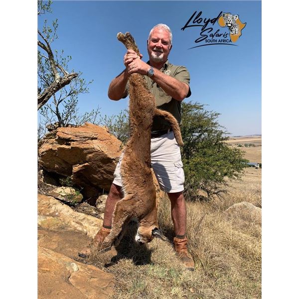 7 Day “Night Safari” Hunt for 1 Hunter and 1 Observer