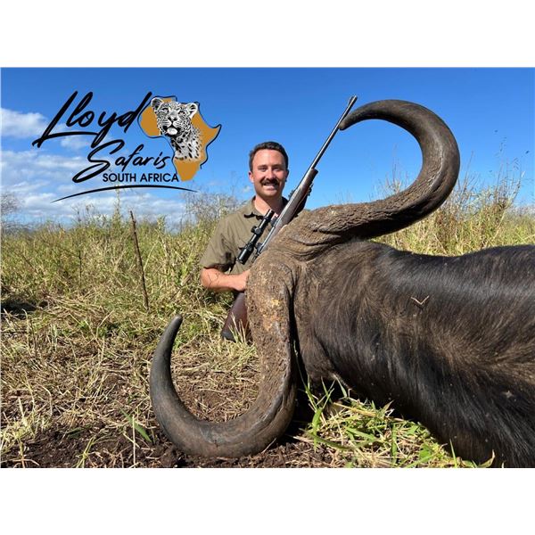 7 Day Cape Buffalo Safari in KwaZulu-Natal, South Africa at Pongola Game Reserve