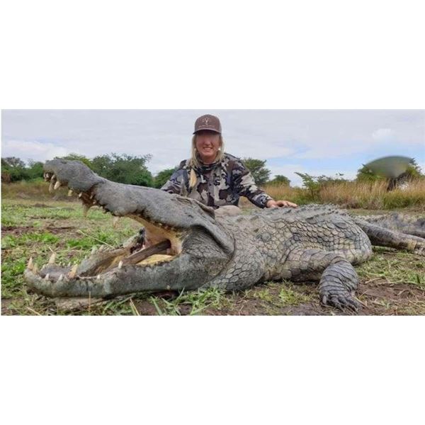 Crocodile and Bushpig Safari for 2 Hunters in Mozambique