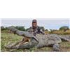 Image 1 : Crocodile and Bushpig Safari for 2 Hunters in Mozambique