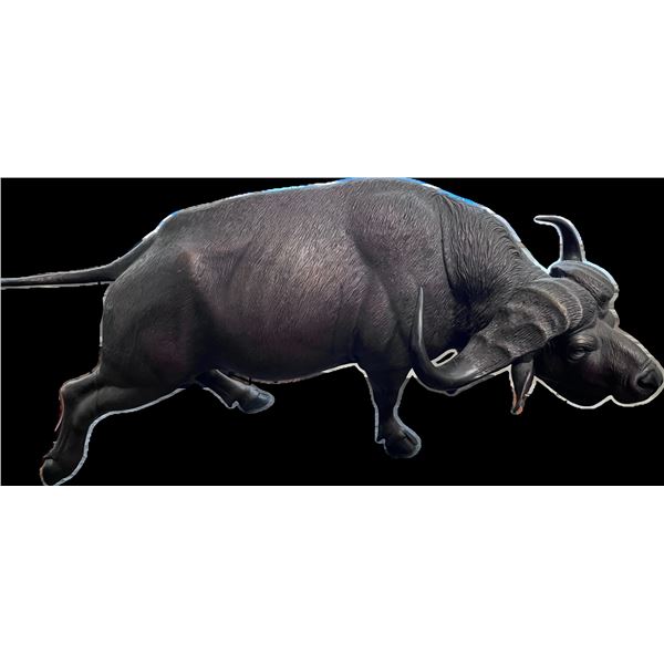 Cape Buffalo Bronze by Artist Ryan Wilhite