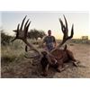 Image 2 : Red Stag Hunt in Argentina for 7 Days During the Roar!