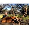 Image 5 : Red Stag Hunt in Argentina for 7 Days During the Roar!