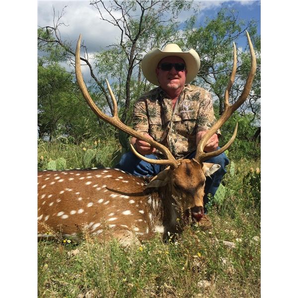 Trophy Exotic Hunt with Choice of Axis, Blackbuck, or Red Sheep