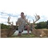 Image 3 : Ohio Whitetail Hunt for 2 Hunters includes 2 Whitetail Deer up to 160”