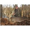 Image 4 : Ohio Whitetail Hunt for 2 Hunters includes 2 Whitetail Deer up to 160”